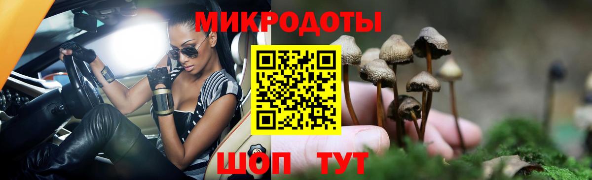 Псилоцибиновые грибы Psilocybe  купить наркоту  Шуя  Вход с VPN 